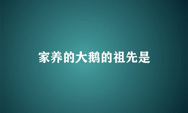 家养的大鹅的祖先是