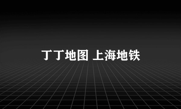 丁丁地图 上海地铁