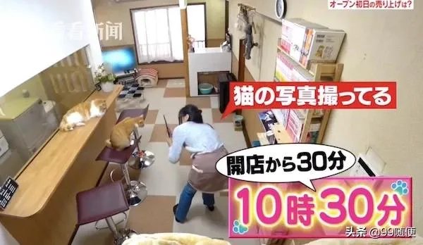 “最省日本女孩”省吃俭用15年，买下三套千万豪宅，你从这件事受到哪些启发？