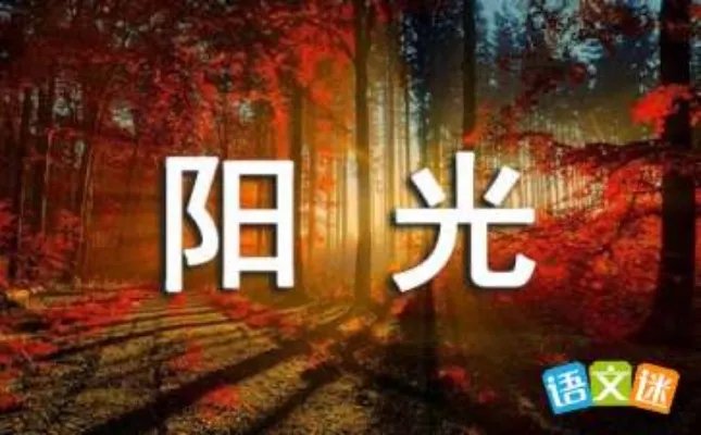 在党的阳光下