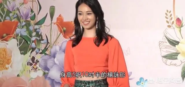 港姐14强新鲜出炉,你怎么看?