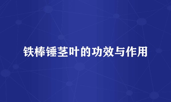 铁棒锤茎叶的功效与作用