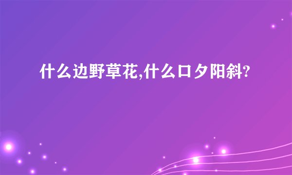 什么边野草花,什么口夕阳斜?