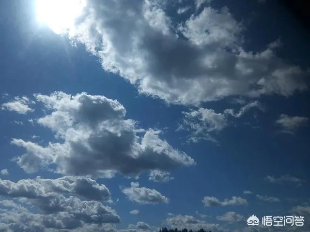 癌症晚期是独自离家出走留一份遗书不拖累家人,还是跟家人度过最后的日子?