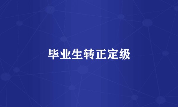 毕业生转正定级