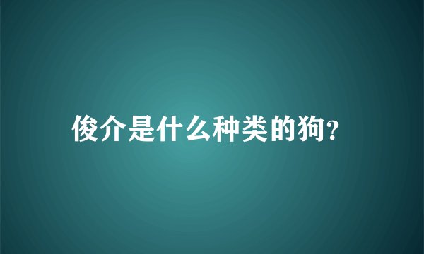 俊介是什么种类的狗？
