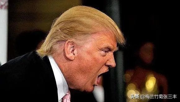 美国单日新增确诊病例逾2.4万例,累计154万例,你怎么看?