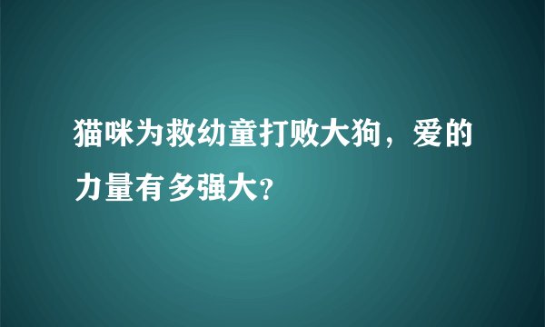 猫咪为救幼童打败大狗，爱的力量有多强大？
