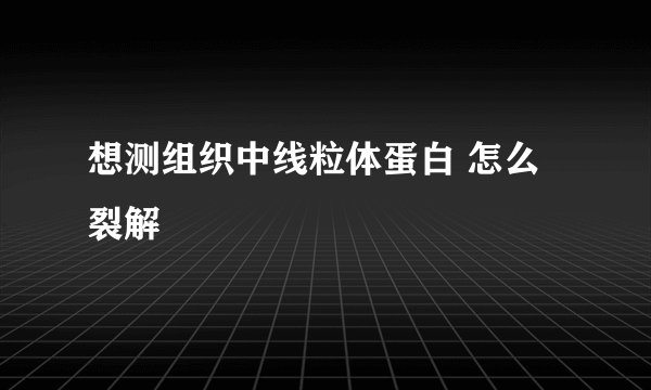 想测组织中线粒体蛋白 怎么裂解