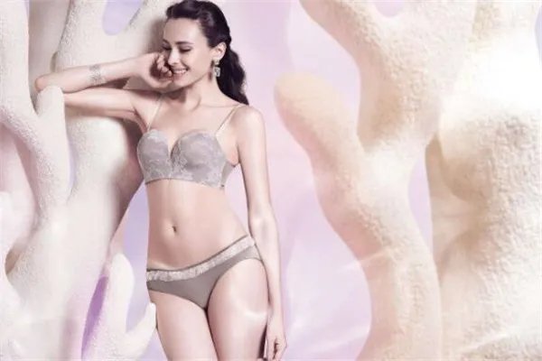 什么牌子的文胸最好?世界十大文胸品牌排行