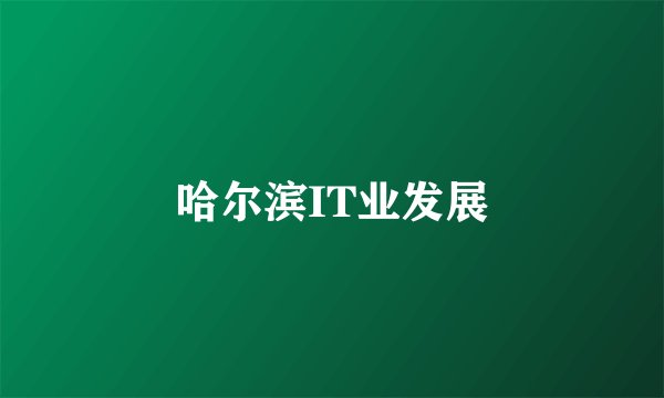 哈尔滨IT业发展