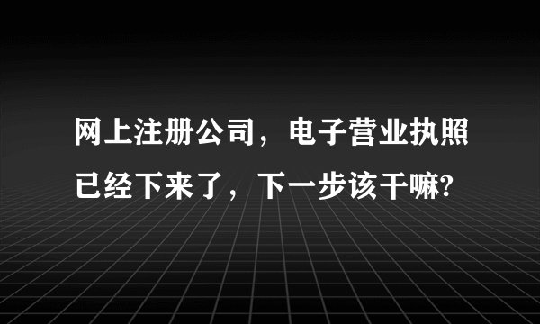 网上注册公司，电子营业执照已经下来了，下一步该干嘛?