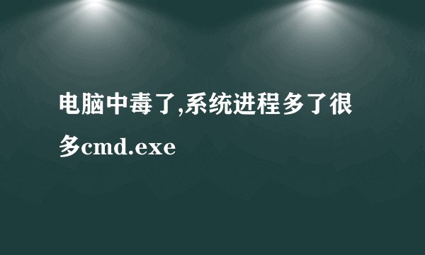 电脑中毒了,系统进程多了很多cmd.exe