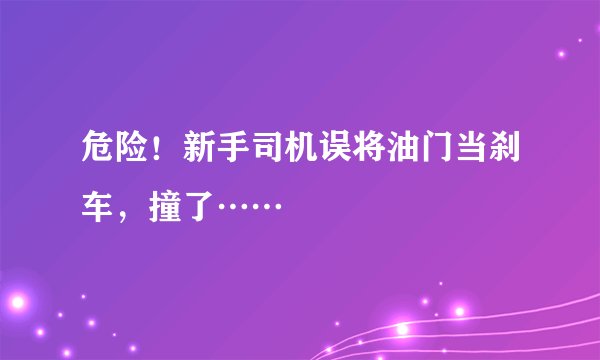 危险！新手司机误将油门当刹车，撞了……