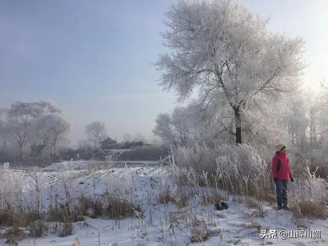 你喜欢东北冬天特有的风景吗?