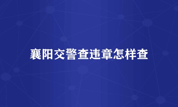 襄阳交警查违章怎样查