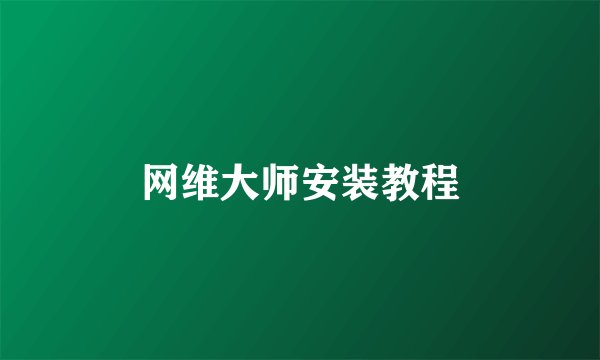网维大师安装教程