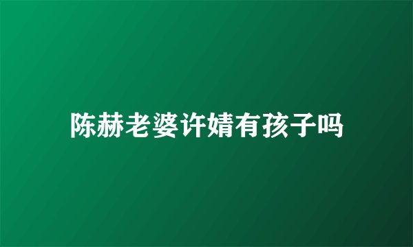陈赫老婆许婧有孩子吗