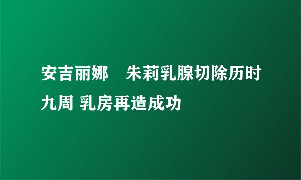安吉丽娜・朱莉乳腺切除历时九周 乳房再造成功