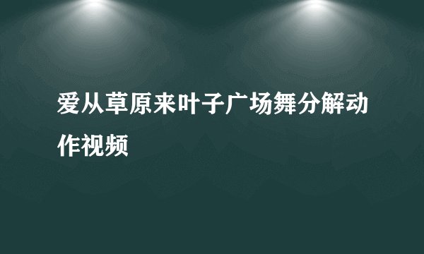 爱从草原来叶子广场舞分解动作视频