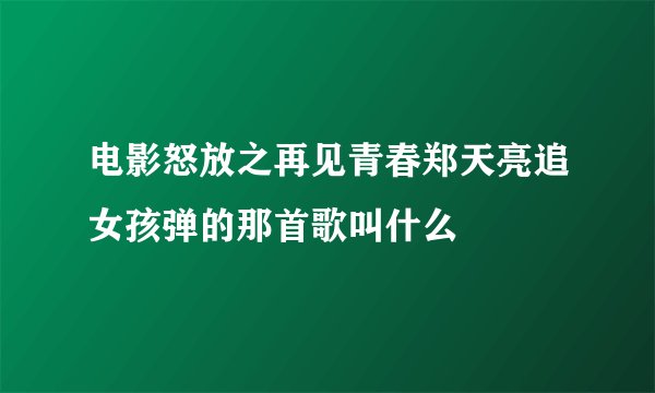 电影怒放之再见青春郑天亮追女孩弹的那首歌叫什么