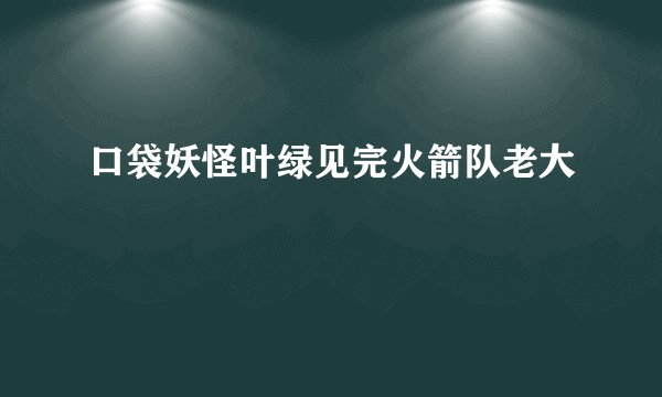 口袋妖怪叶绿见完火箭队老大