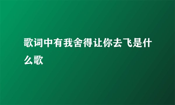 歌词中有我舍得让你去飞是什么歌