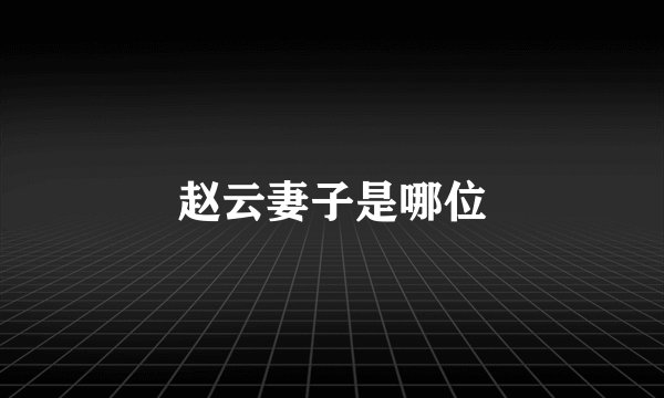 赵云妻子是哪位