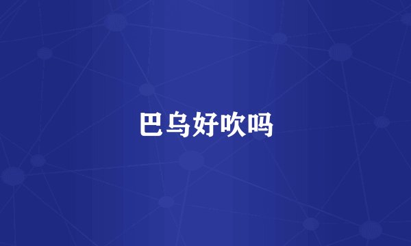 巴乌好吹吗