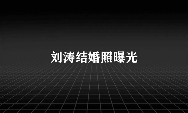 刘涛结婚照曝光