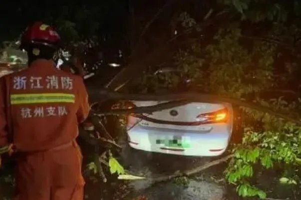 杭州暴雨:有车库被淹 暴雨车库被淹保险赔吗