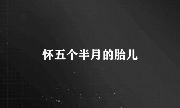 怀五个半月的胎儿