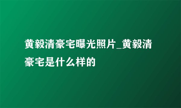 黄毅清豪宅曝光照片_黄毅清豪宅是什么样的