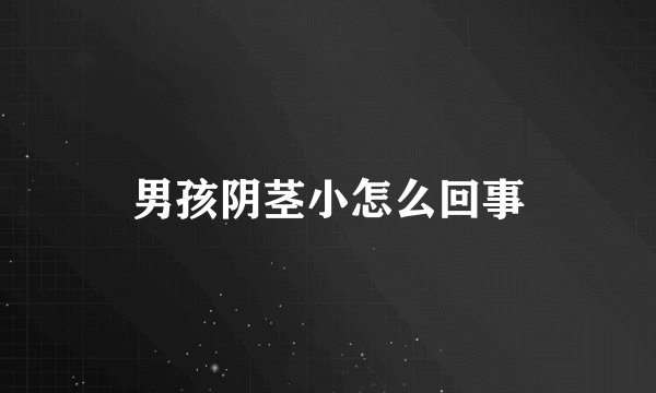 男孩阴茎小怎么回事