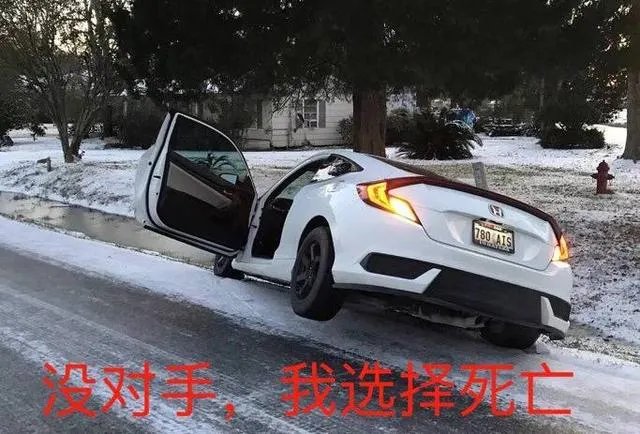 思域是个什么梗?