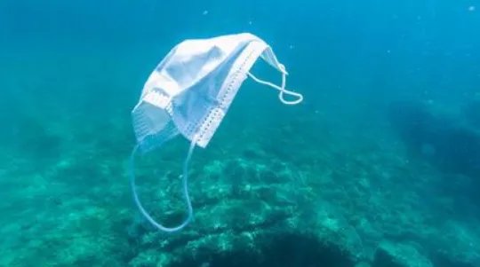去年超15亿只废弃口罩流入海洋,给海洋生物造成了怎样的毁灭性伤害?