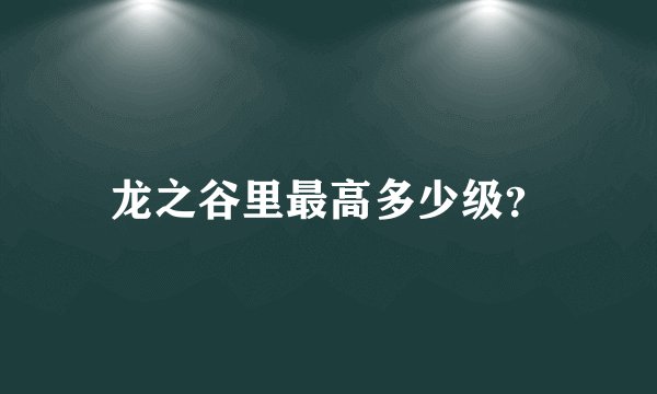龙之谷里最高多少级？