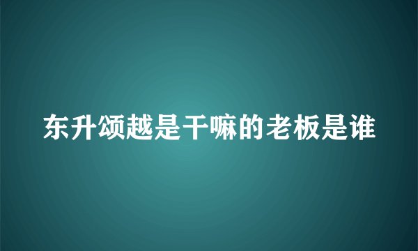 东升颂越是干嘛的老板是谁