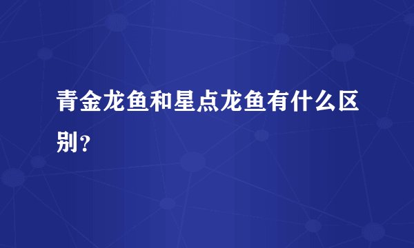 青金龙鱼和星点龙鱼有什么区别？