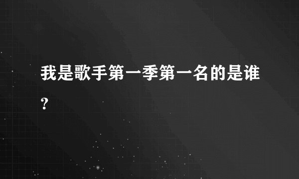 我是歌手第一季第一名的是谁？
