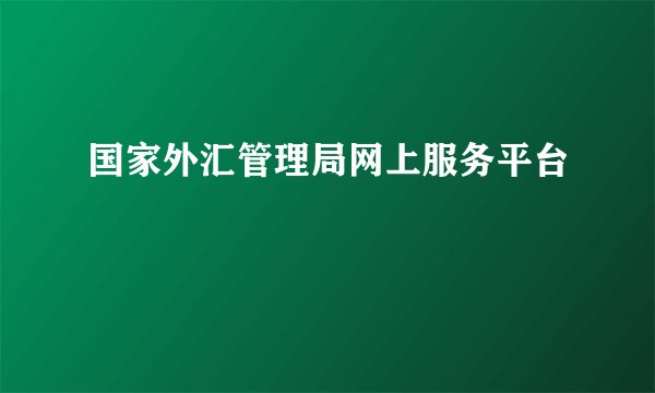 国家外汇管理局网上服务平台