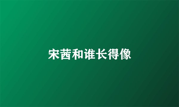 宋茜和谁长得像