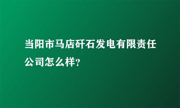 当阳市马店矸石发电有限责任公司怎么样？