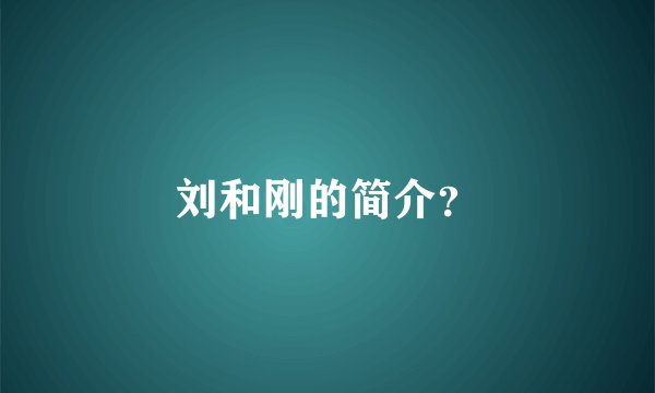 刘和刚的简介？