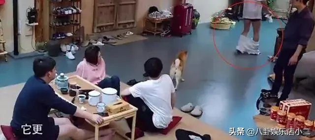 哪些明星在综艺节目中出的“糗”,会让你不由自主地笑出眼泪?
