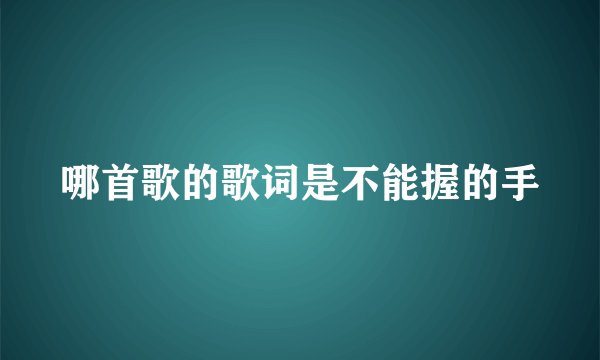 哪首歌的歌词是不能握的手