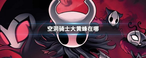 空洞骑士大黄蜂在哪
