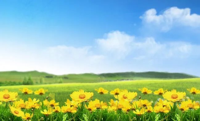4月发的朋友圈文案说说 4月份发的朋友圈说说文案大全
