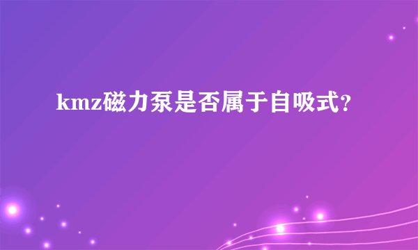 kmz磁力泵是否属于自吸式？