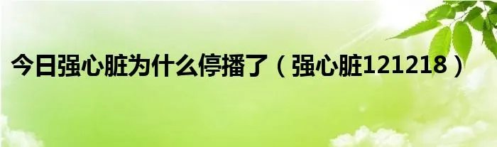 今日强心脏为什么停播了（强心脏121218）